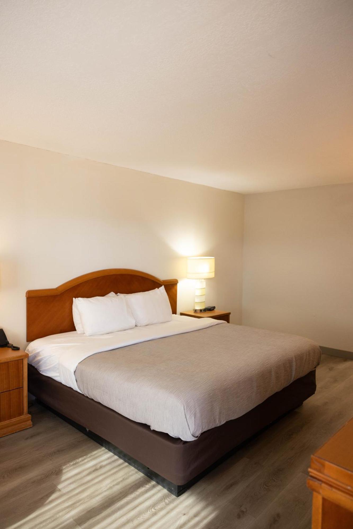 Quality Inn & Suites Lake Havasu City Ngoại thất bức ảnh